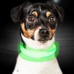 C903 Hot Sale New Pet Product High Quality Usb Battery Custom Ties Motion LED