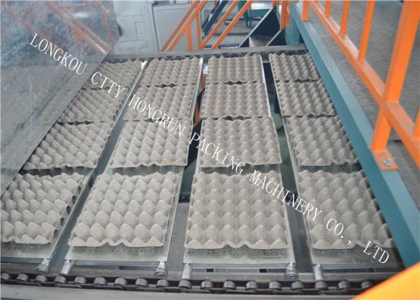 Coal Fuel Type Paper Egg Tray Production Line High Speed 6000pcs/Hr