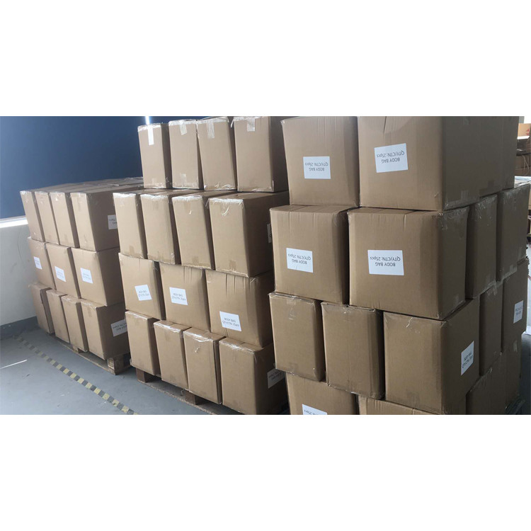 PP PE Funeral Body Bag Human Disposable Corpse Cadaver Coffin