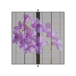 China P3.9-7.8Q10T Transparent LED Display Glass Window 266*250 wholesale
