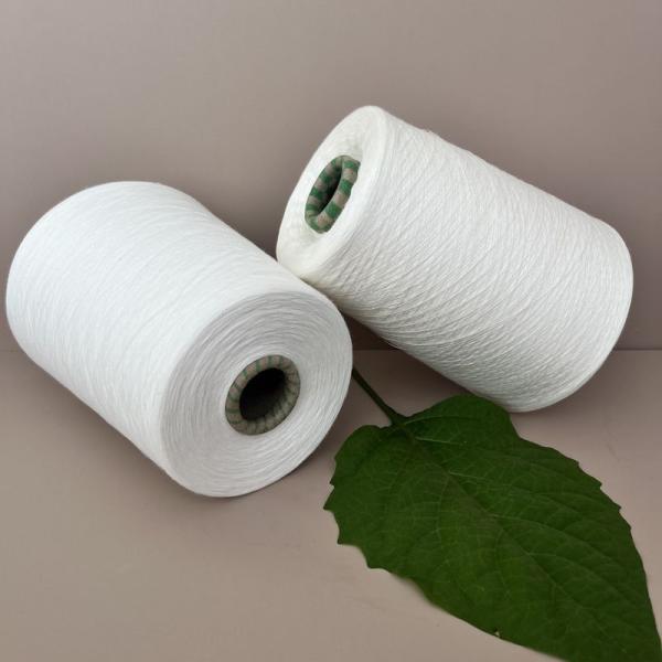Count And Original 30F 30S/2 Rayon Knitting Spun Ring 100% Viscose Rayon High 120D/2