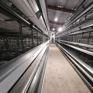 China 3-8 Tiers Poultry Cage Battery System U type HDG Steel Material wholesale