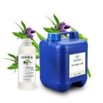 Cas 24502-78-1 Organic Carrier Oils Cold Pressed Borage Seed Oil 100% Pure