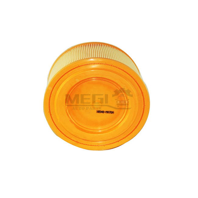 16546-MA70A 16546MA70A Car Air Filter For ISUZU Nissan Atleon Cabstar CABSTAR NT500