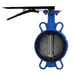 DN50 PN16 Ductile Iron Handle Clamp Soft Seal Butterfly Valve Bolted Connections