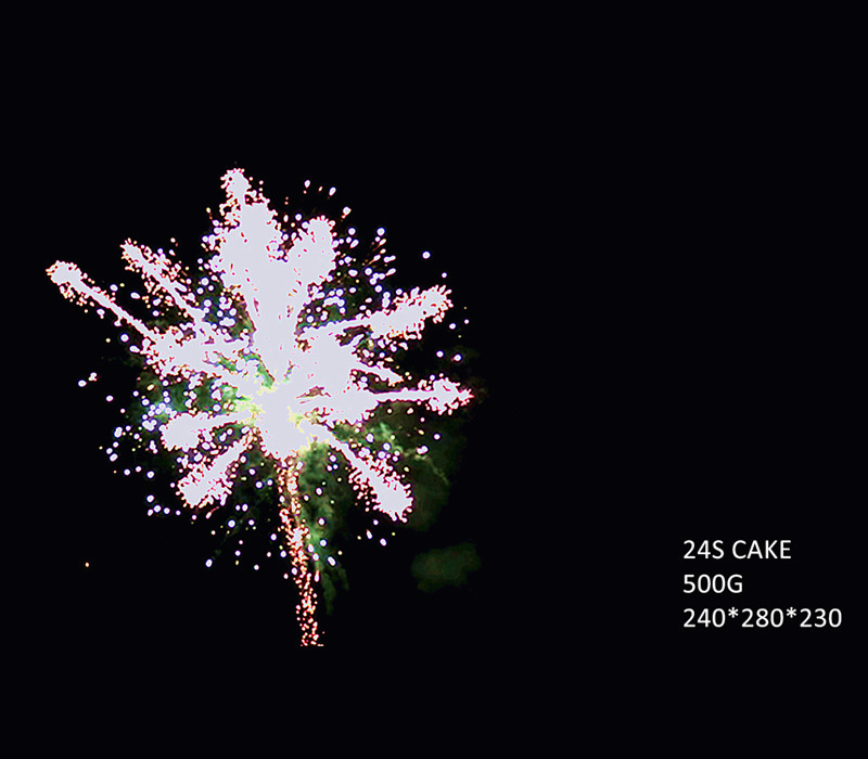 Liuyang 24 Fireworks Shots 500G Cake With High Quality Provided Pyrotechnics Factory