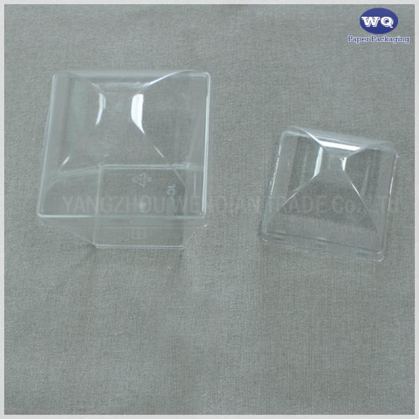 5 oz Square Clear Plastic Dessert Cups Small Clear Plastic Tumbler Cups Great