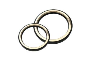 China Customized Y Type FIG 1502 NBR HNBR Plug Valve Seals wholesale