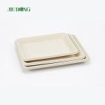PLA Biodegradable Bagasse Tableware Dish Fast Food Serving Tray