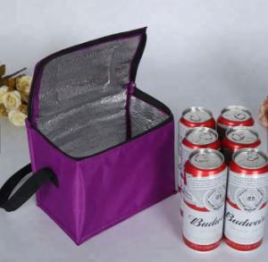 China Portable Ice Cooler Bag 6 Packs Bottle , Wine Ice Pack For Cooling Beer Juice wholesale