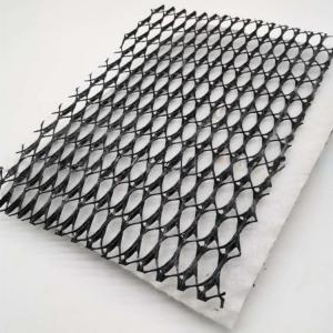 China HDPE 3D Salt Barrier Drainage Geonet Geocomposite net for Landfill Road Garden Drainage on sale