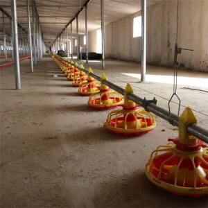 China Stainless Chicken Feeding System Pan Feeder Poultry 50-100 Chickens / Hour wholesale