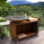 Outdoor Stainless Steel BBQ Grill Assembly Required Yes Rusted Steel