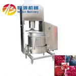 Powerful 3kw Hydraulic Juicer Press for Strawberry Lemon Apple Banana Pear