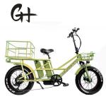 48V Disc Brake Dual Batteries Fat Snow Big Tire Electric Cargo Bicycles for