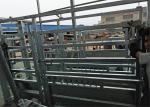 cattle crushes