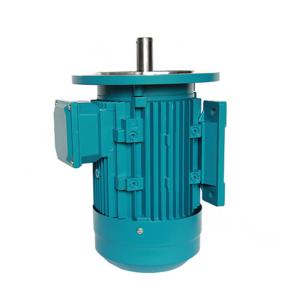 China IE2 Electric Motor Water Pump 3KW B14 220V 380V MS100L2-4 CE Certification wholesale