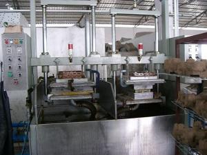 China Semi Automatic Small Egg Box Forming Machine 440V Paper Moulding wholesale