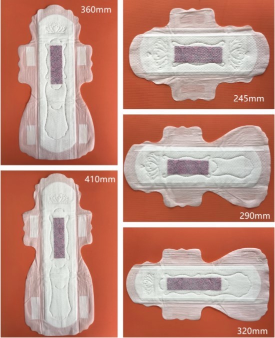 Leak Guard Anion Chip Sanitary Pad