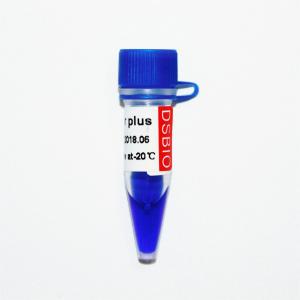 China Blue Appearance 50bp DNA Ladder Electrophoresis 50ug wholesale