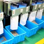 1 Ton High Capacity Pistachio Nuts Sorting Machine Stainless Steel