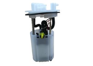 China PW826330 Electric Fuel Pump Assembly For Proton Saga BLM 1 Year Warranty wholesale