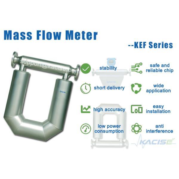 Stainless Steel LCD Display Viscous Slurry Coriolis Mass Flow Meter for High Accuracy Measurement