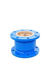 China Full Flow Design DIN Silencing Check Valve Cast Iron Any Direction Installation wholesale