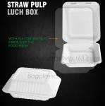 lunch box containers for restaurant, PLA Lunch Box with Lid For Kids, PLA
