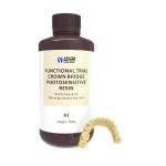 Clinical Trials Temporary Bridge Resin Transparent Surgical Guide Resin