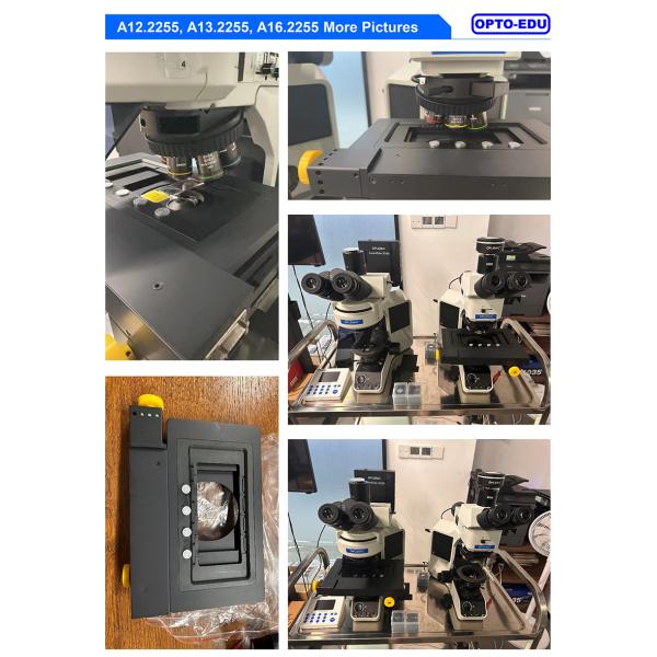 Opto Edu A12.2255 Laboratory Biological Microscope Fully Motorized BX53 CX43 Level