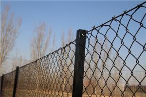 China 2.1mx10mx50x50mm galvanized steel chain link fence from &quot;. Victoria &quot; wholesale