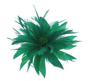 China Patterned Chicken Headband Feather Mounts , Dyed Green Goose Feather Flowers wholesale