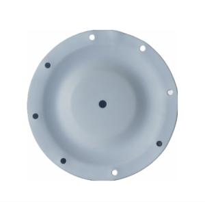 China 286-096-600 Diaphragm PTFE 0.5 Inch Fit SANDPIPER Pump Kits Diaphragm wholesale