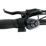 20 Inch Wheel Disc Brake Cargo E Bike 48V 500W With 14.5Ah 21Ah 24.5Ah Lithium