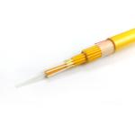 Indoor LSZH Aramid Yarn Strength G652D Fiber Optic Cable GJPFJH 4 6 8 12 24 48