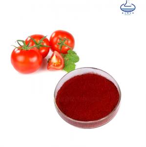 China Natural Tomato Extract Anti-Aging Water Soluble 5% 10% Lycopene Powder wholesale