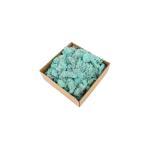 Eco Friendly Preserved Natural Moss Custom Color For House Wall Decoration