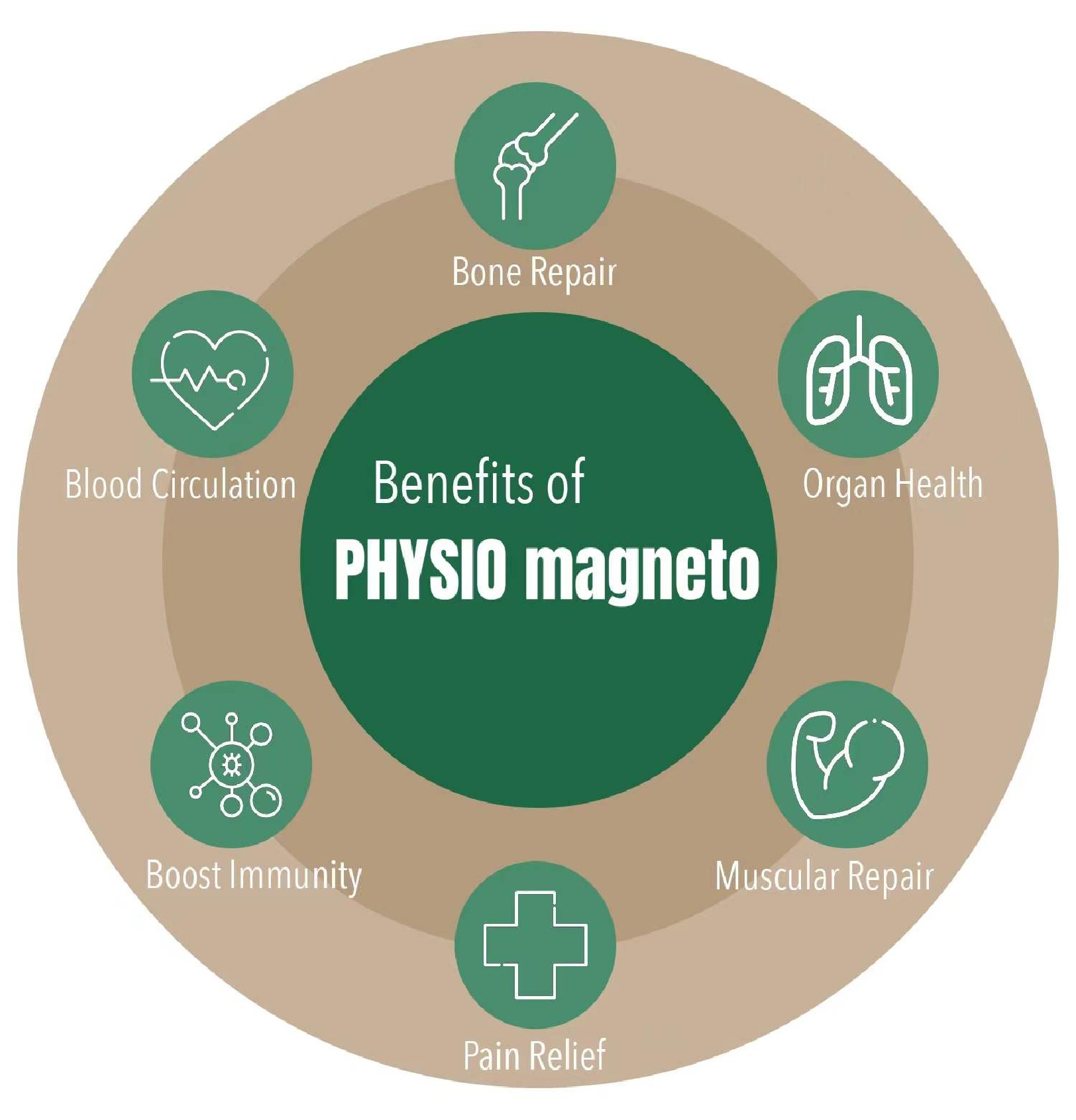 1000HZ Physio Magneto Therapy Machine For Fascial Joint Inflammation Rehabilitation