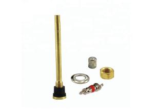 China Clamp In Tire Valve Brass Straight 115mm TR573 V3.21.7 Brass Core Material wholesale
