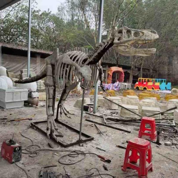 Exhibition Jurassic Park Dinosaur Skeleton , Dinosaur Bone Replicas