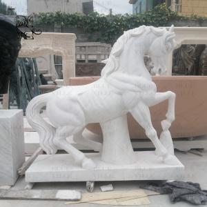 China Marble Horse Statue White Stone Carvings Life Size Animal Sculptures Handcarved Outdoor Garden Decoration wholesale