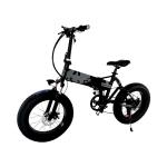 Double Suspension 20 Inch Electric Folding Fat Tire Bike