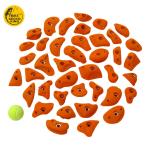 40pcs Pack Kids Climbing Holds for Outdoor and Indoor Rock Climbing Wall Project