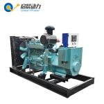 Gas Generator Price Natural Gas Generator for Sale