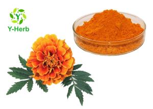 China Natural Pigment Xanthophyll Marigold Flower Herbal Extract Powder wholesale