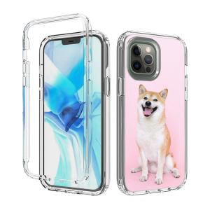 China 6.1 Inch OEM Personalized Cell Phone Cases For Iphone 12 Pro wholesale
