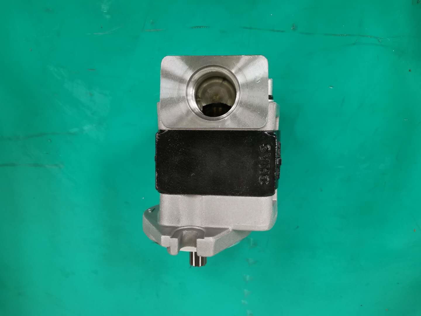 Standard Iron Material SGP1AF25-ALΦ9 L Gear Pump