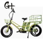 48V Disc Brake Dual Batteries Fat Snow Big Tire Electric Cargo Bicycles for