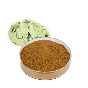 China Natural Grade Lose Weight Supply Folium Sennae Senna Leaf Sennoside Extract Powder wholesale